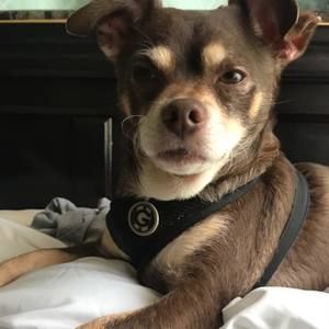 Meet your Posher, Gabriela